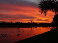 Sunset in E. Manatee, Florida