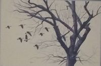 Birds and A Tree
