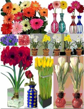 vases & flowers
