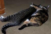 Spooning