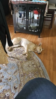 Peaches finally relaxes