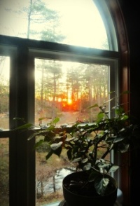 Sunrise out my bedroom window