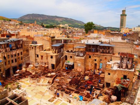 Tannery Fez-Morocco