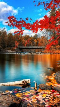 Autumn Day at the Lake....