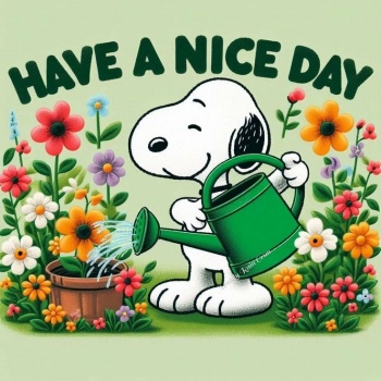Solve Snoopy watering Plants jigsaw puzzle online with 64 pieces