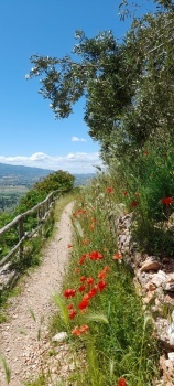 Hiking in Umbria (Italy)