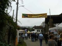 Chestnut Festival - Chiusani - Italy