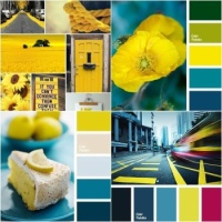 Mellow Yellow