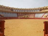 Bull's arena, Portugal