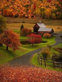 Vermont Autumn