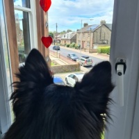 Pippa.  Is anybody there