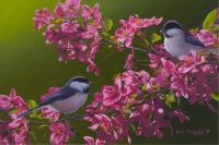 Chickadees in Pink            