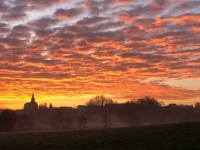 Early in the morning
