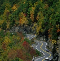 The Road of Life