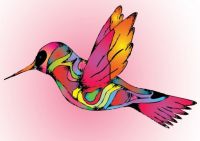 ColibriDeColor