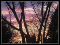 EVENING SKY