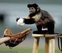 Bonga Bonga Baseball Umpire....PLAY BALL!!!!