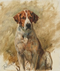 John Emms (British, 1841–1912), Study of a Hound