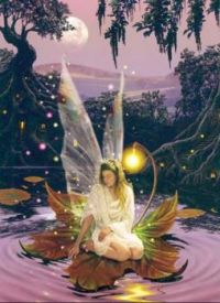Moonlight Fairy