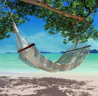 Hammock on a Beach in Thailand