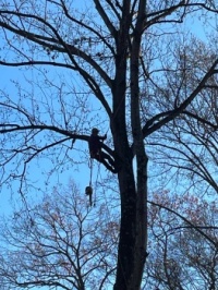 Trimming skyward--challenging