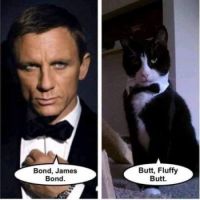 Bond, James Bond