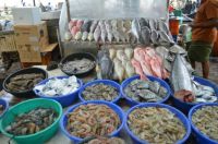 Seafood market in Cochin, Kerala, India