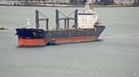 Barbro G - Ocean-Going Freighter - St Ste Marie, MI (2024-03-27)