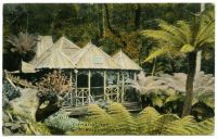 Historic hut  "Clematis", Mt Wellington, Tasmania
