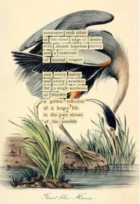Audobon's Great Blue Heron - now in collage of text, it becomes a Bird Divination Card! / "An Almanac of Birds: 100 Divinations for Uncertain Days" - Maria Popova,