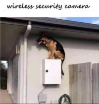 Security camera