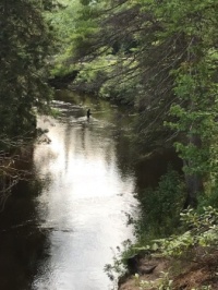 Fly fishing, Two Hearted River, Michigan