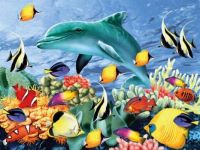 Sea