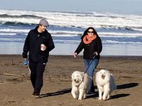 2020-Sunny Oregon Coast Dog Walk