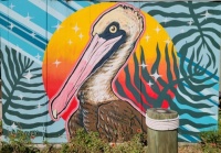Mural from Seaside Seabird Sanctuary