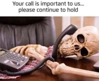 Your Call Is Important……