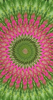 Kaleido