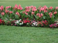Flowers on US Capitol Grounds
