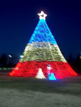 Late Christmas Tree