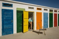 Colores
