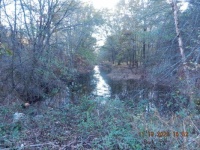 Overflow Creek