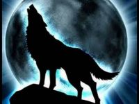 howling wolf midnight moon