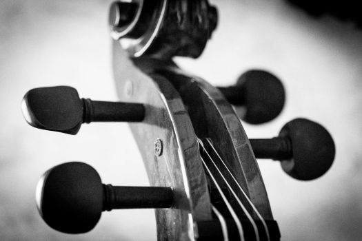 Cello