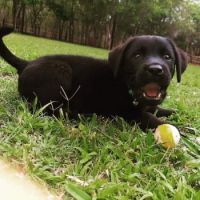 Lola on arrival at her new home