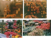 *Holland (1989) 2 of 4
