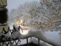 Winter view