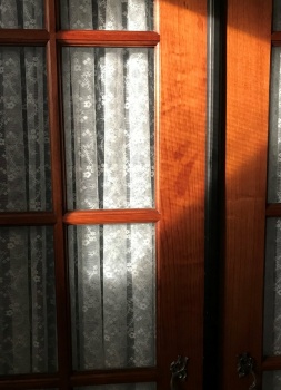 Things Around the House: Sun Play on French Doors
