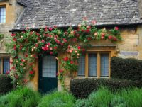 Front garden in Cotswold, by UGArdener 