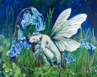 the bluebell fairy