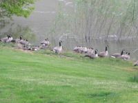 Visitors-Asotin, WA
